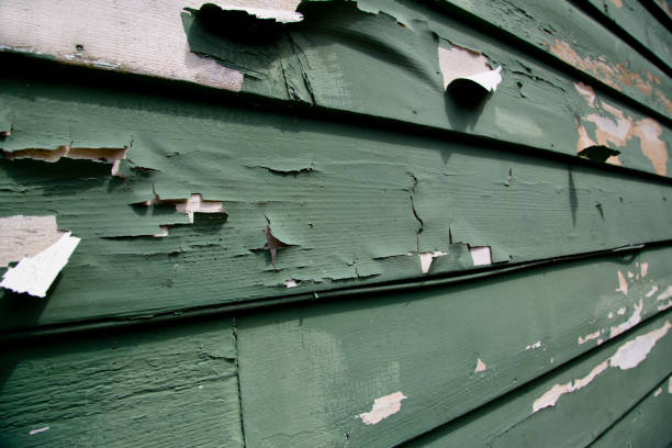 Trusted Easton, CA Junk Removal Experts
